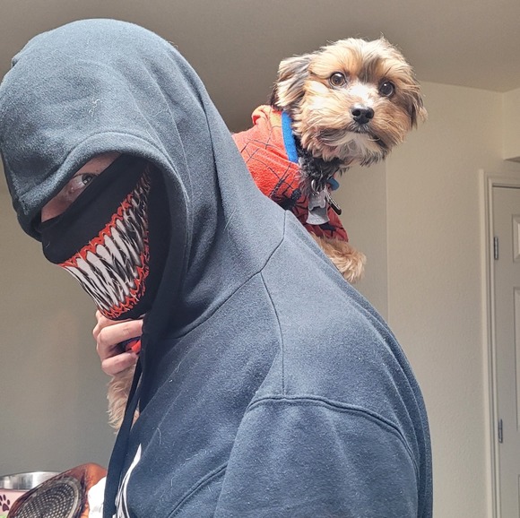 Meet your Posher, Benjamin - Picture 1 of 1